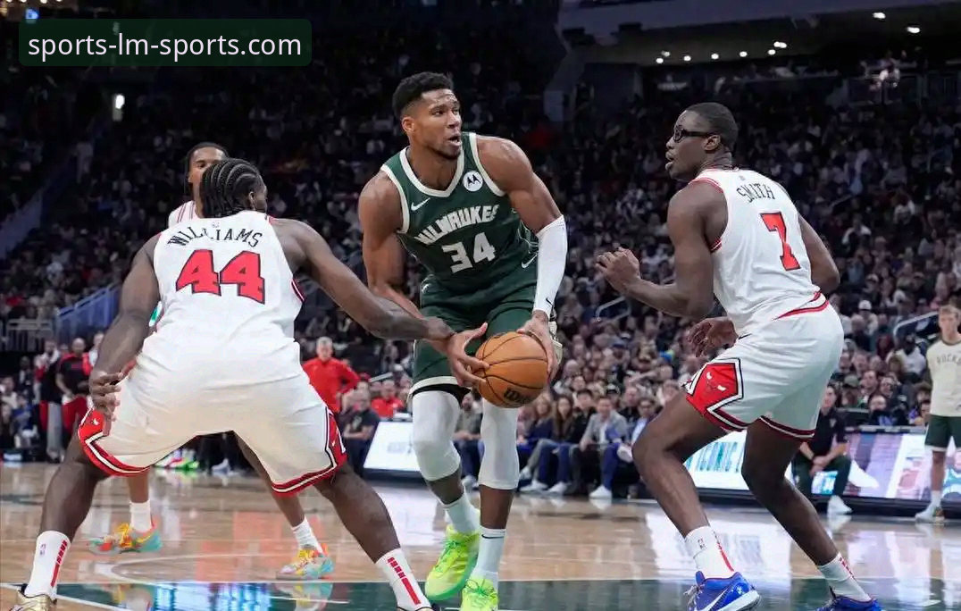 LM体育平台深度评测：登录安全、版本对比与使用体验全解析